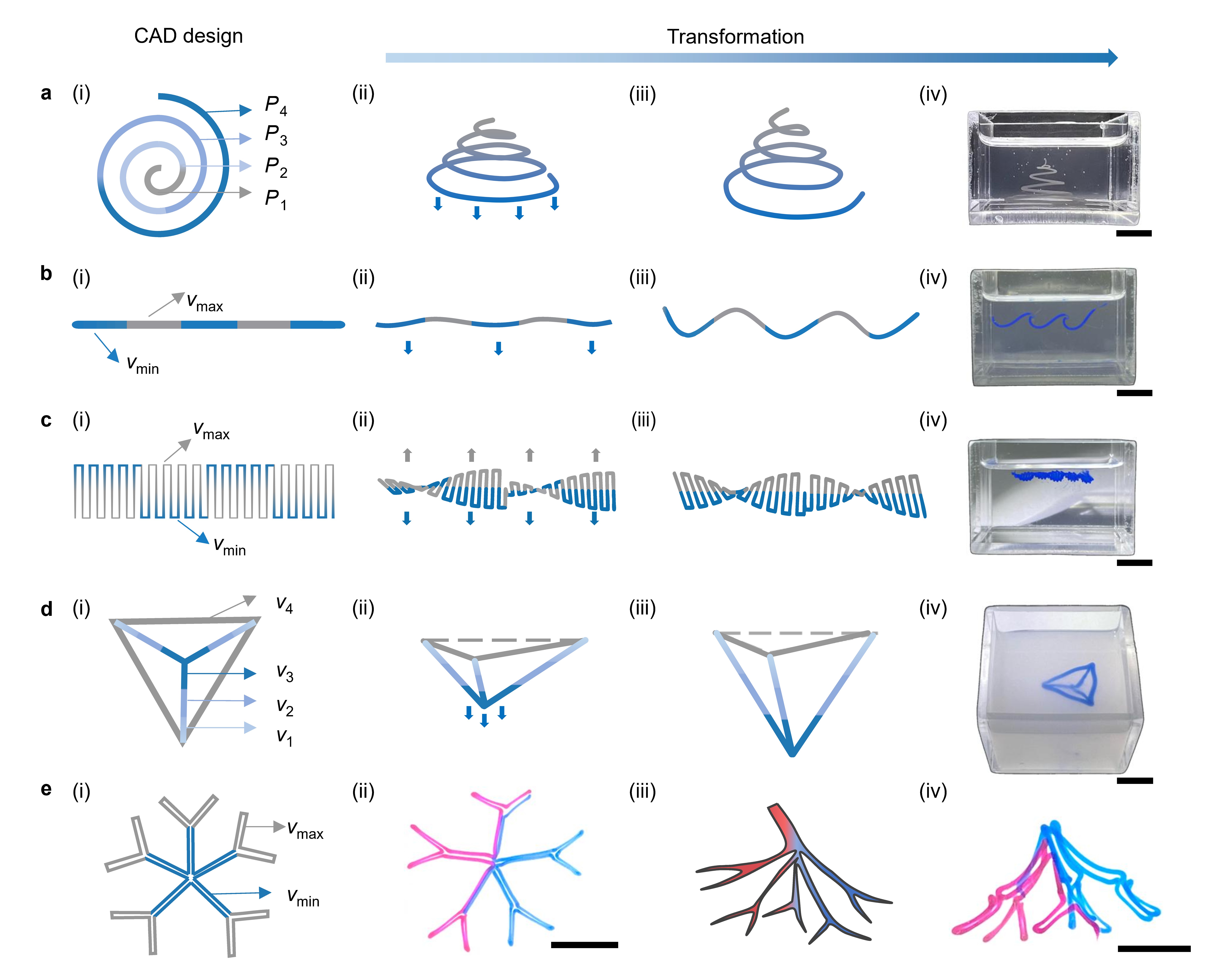 1766034157241378.jpg 图片3.jpg